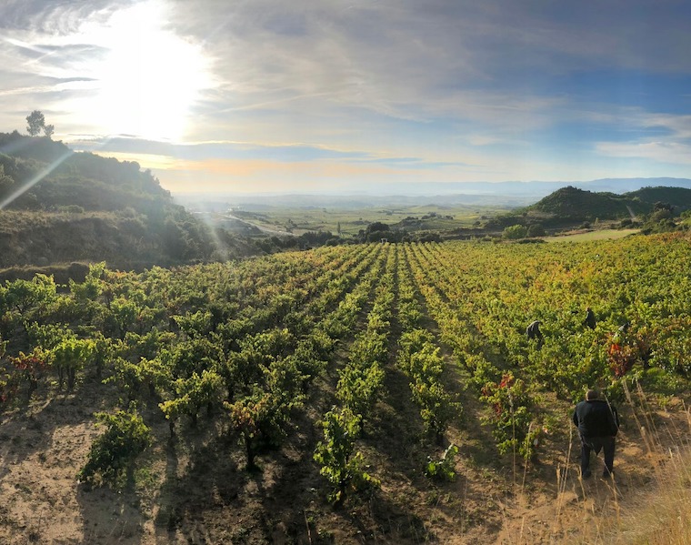 Bodegas Ostatu