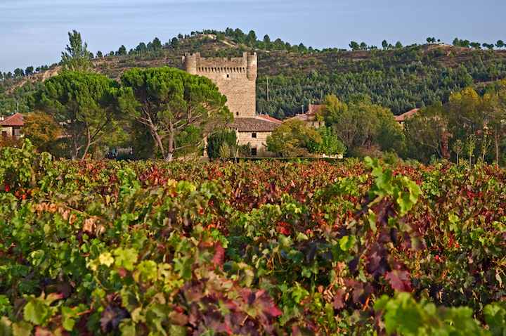 Castillo de Cuzcurrita